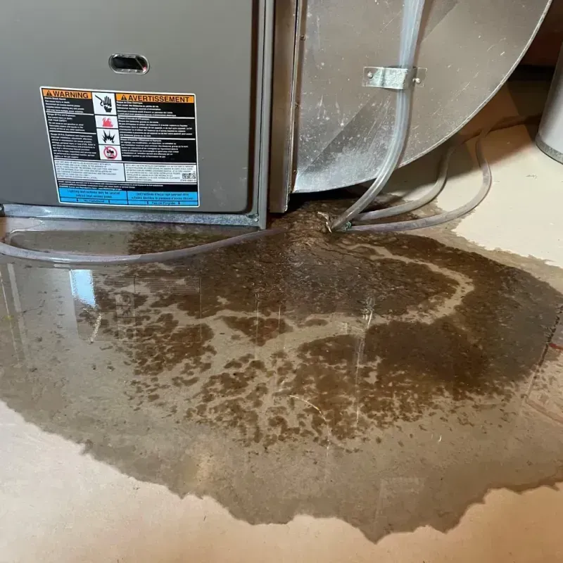 Appliance Leak Cleanup in Shortsville, NY